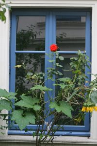 P99 Projekte - Freiheit 84 e.V., Hamburg