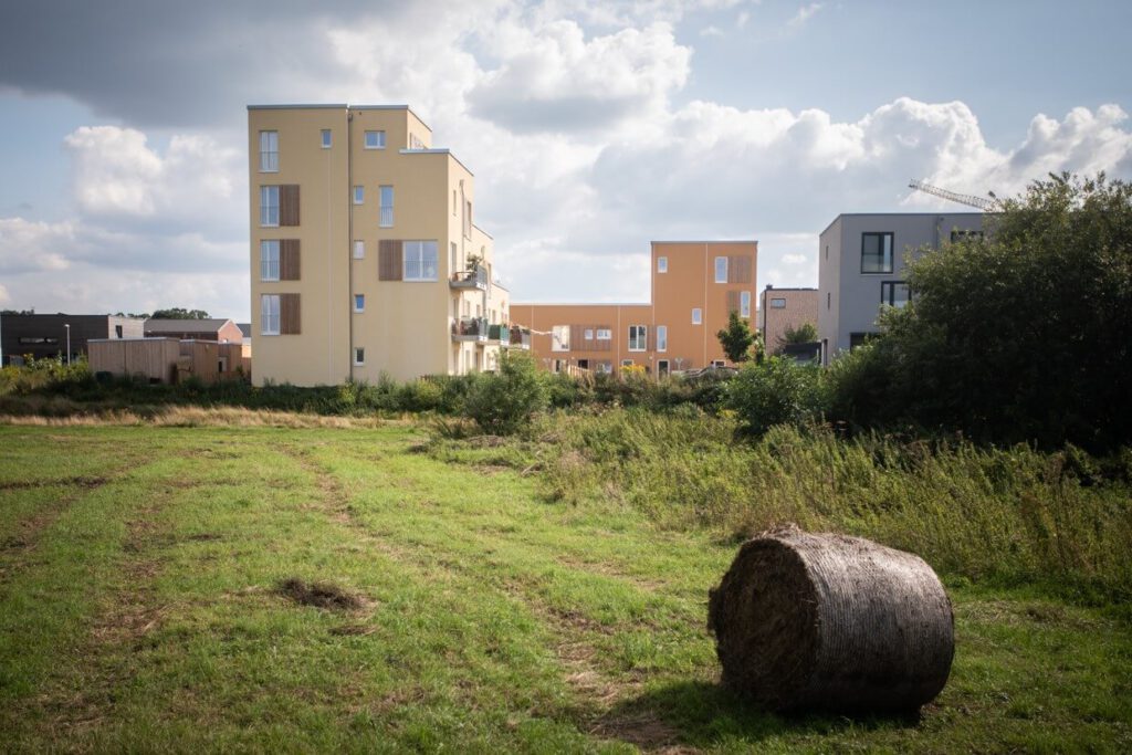 Nestbau eG