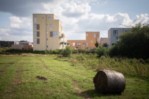 Nestbau eG